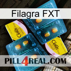 Filagra FXT cialis5